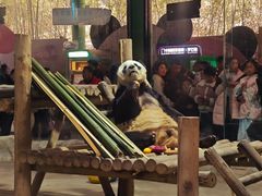 -栾川竹海野生动物园