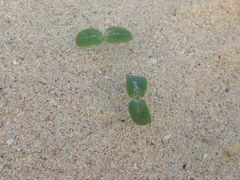 -西涌国际滨海旅游区