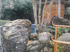 -和顺柏联温泉