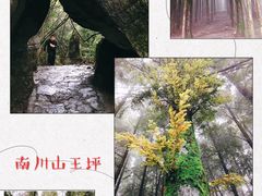 -山王坪喀斯特国家生态公园