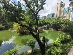 -九龙公园