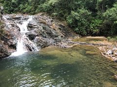 -九龙江国家森林公园