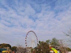 -自然谷恐龙园