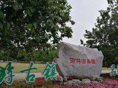 -御林古桑园
