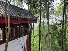 -老君山