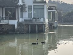 -古尚锦酒楼·水上餐厅