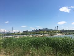 -永定河休闲森林公园