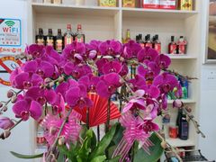 -茸梅路右拐龙虾-农家菜(松江店)