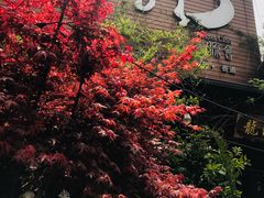 -龙源茶坊(白银路店)