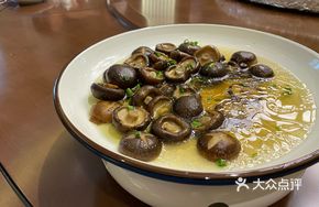 Tea Oil Mushrooms