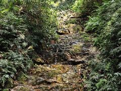 -拾溪餐厅·包厢(杭州千禧度假酒店)