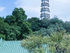 -榴花公园