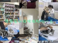 -美联众合动物医院·24h京西诊疗中心