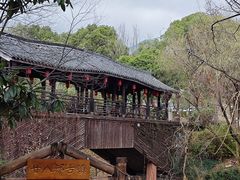-仙霞关景区
