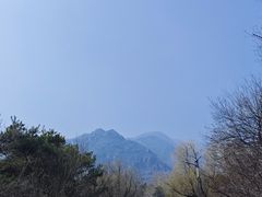 -北京鹫峰国家森林公园