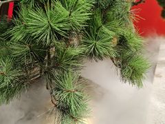 -辛香汇·锦里丨现炒川菜(和信宝龙店)