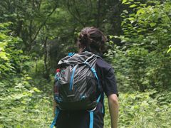 -素山寺森林公园