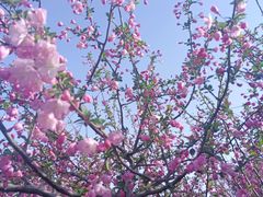 -共青国家森林公园-售票处