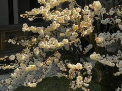 -寒山寺