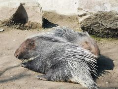 -上海动物园(地铁站)