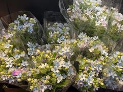 -豆豆花艺(新光天地店)