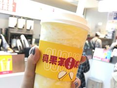 超多肉金菠萝-果呀呀(国金街店)