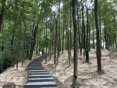-火炉山森林公园