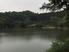 -火炉山森林公园