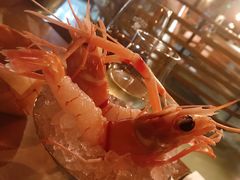 -斯普汇生蚝牛排馆(中骏世界城店)