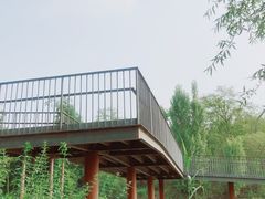 -白鹭湾湿地公园