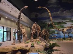 -自贡恐龙博物馆