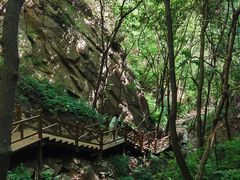 -大岭沟猕猴桃谷风景区