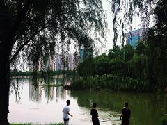 -南翔镇银翔湖公园