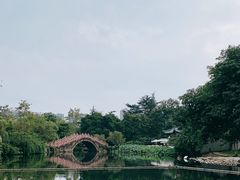 -桂湖森林公园