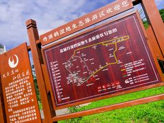 -盐城丹顶鹤湿地生态旅游区