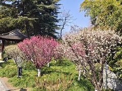 -凤城河风景区