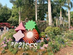 -深圳仙湖植物园
