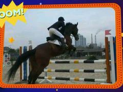 -松声马术俱乐部