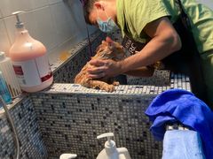 -芭比堂动物医院(广州爱宠下渡路分院)