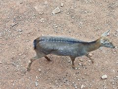 -昆明动物园