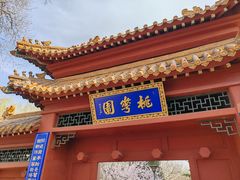 -桃花堤公园