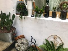 -拾壹cafe·工作室