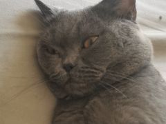 -FAELING PETS美天灵宠物(富力广场店)