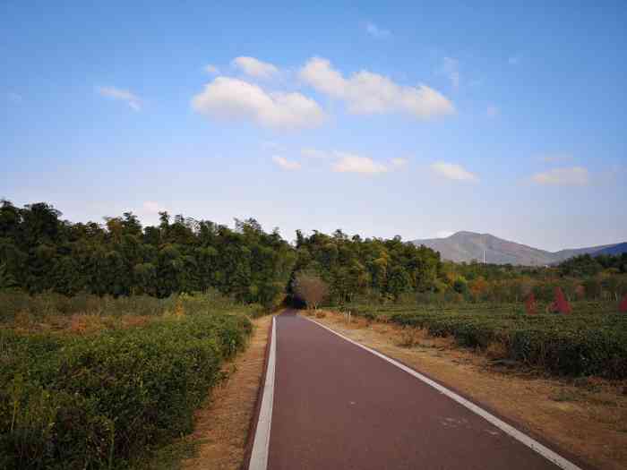 龙池山自行车公园