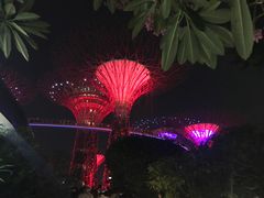 -龙海鲜螃蟹王(宏茂桥店)