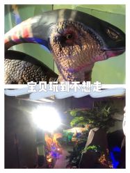 -恐龙探索乐园(磁器口店)