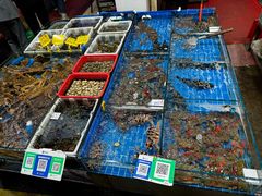 -船奇蒸汽海鲜·闽菜(八市海鲜总店)