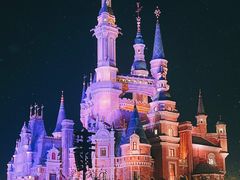 -上海迪士尼度假区