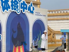 -秦皇岛乐岛海洋王国