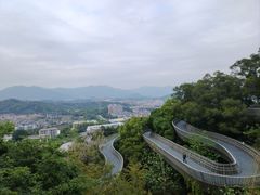 -福道